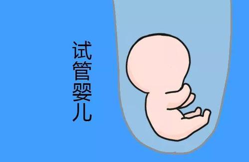 优胚鲜胚移植医学中心